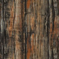 3474 Petrified Wood (G) (H1)