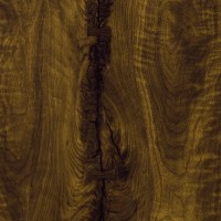 Formica Woodgrain 3479 Black Walnut Timber swatch