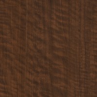 富美加木紋 3485 Black Walnut swatch