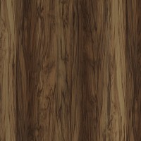 Formica Woodgrain 6210 Couture Wood swatch