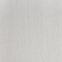 Formica Woodgrain 6372 White Washed Birchply swatch
