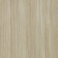 Formica Woodgrain 6404 Bleached Elm swatch