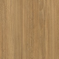 Formica Woodgrain 6407 Honey Elm swatch