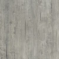 Formica Woodgrain 6442 Gray Washed Maple swatch