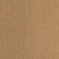 Formica Woodgrain 7012 Amber Maple swatch