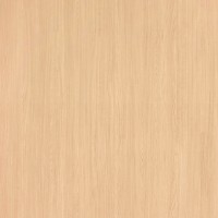 Formica Woodgrain 8843 Natural Ash swatch