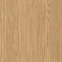 Formica Woodgrain 8844 Aged Ash swatch