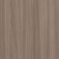 Formica Woodgrain 8845 Bleached Legno swatch