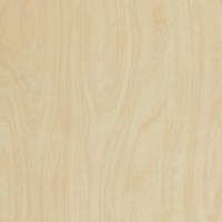 Formica Woodgrain 8910 Raw Birchply swatch