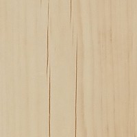 Formica Woodgrain FL6025 Maldives swatch