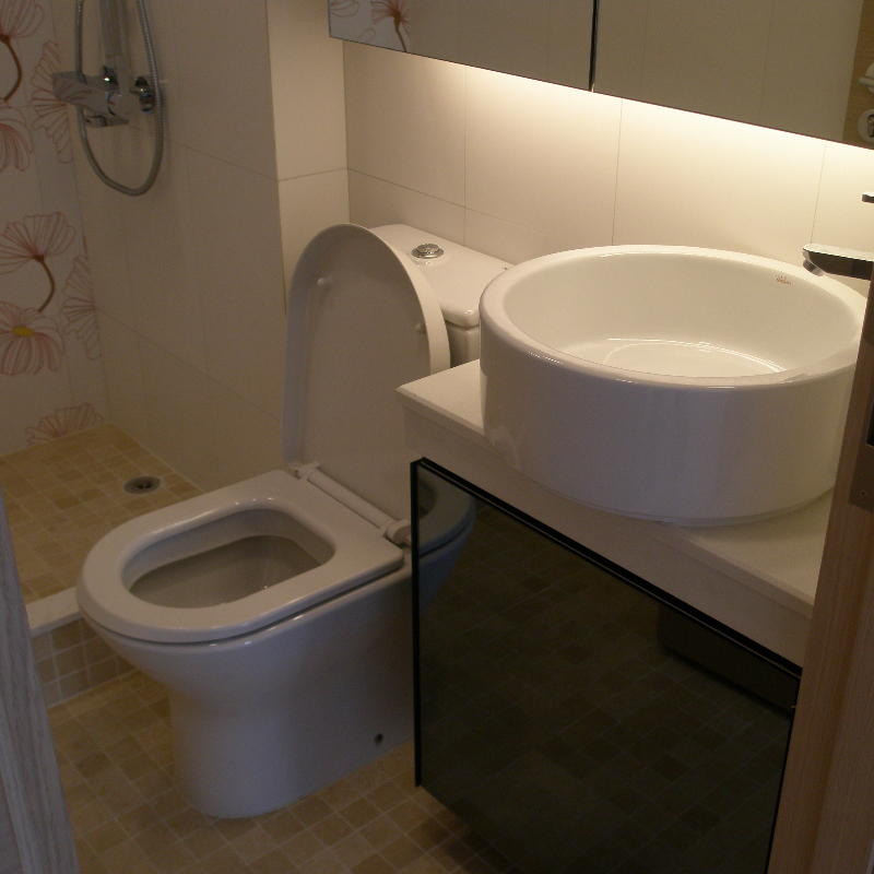 Toilet Project