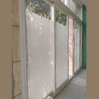 Stainless Steel Glass Door SSD1001