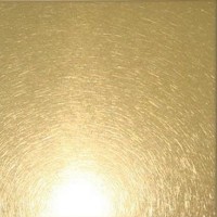 Stainless Steel Material Golden Messy Finishing HLSGD2